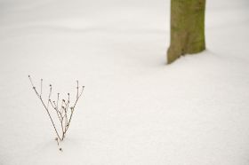 BAD, Schnee-Impressionen, +; 059.jpg
